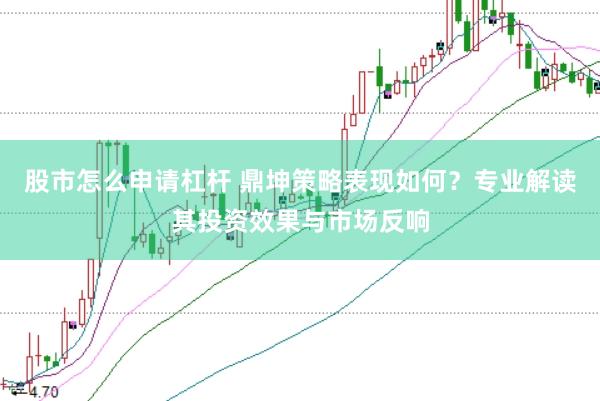 股市怎么申请杠杆 鼎坤策略表现如何？专业解读其投资效果与市场反响