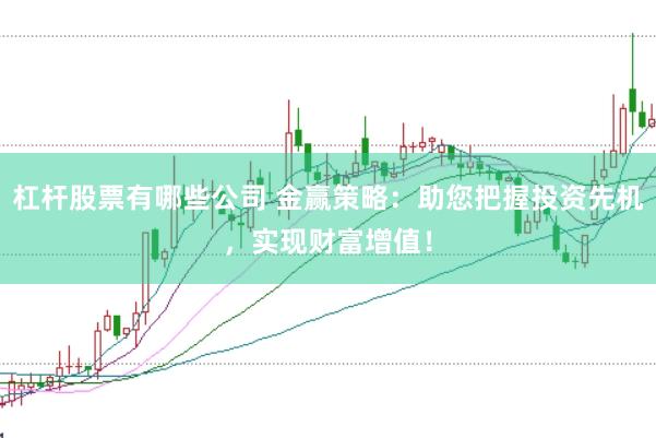 杠杆股票有哪些公司 金赢策略：助您把握投资先机，实现财富增值！