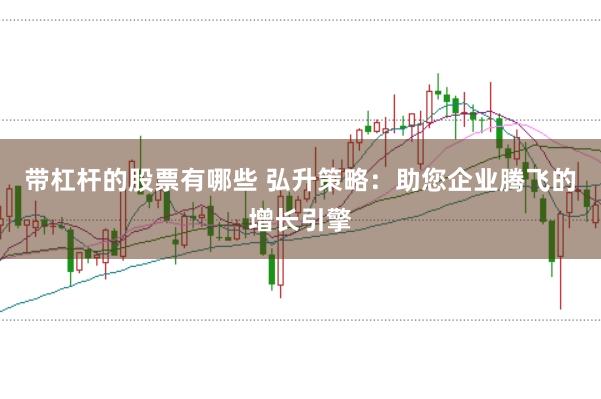 带杠杆的股票有哪些 弘升策略：助您企业腾飞的增长引擎