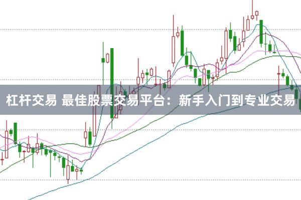 杠杆交易 最佳股票交易平台：新手入门到专业交易