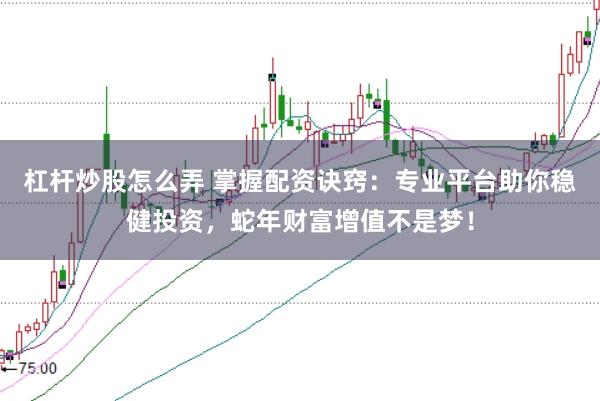 杠杆炒股怎么弄 掌握配资诀窍：专业平台助你稳健投资，蛇年财富增值不是梦！