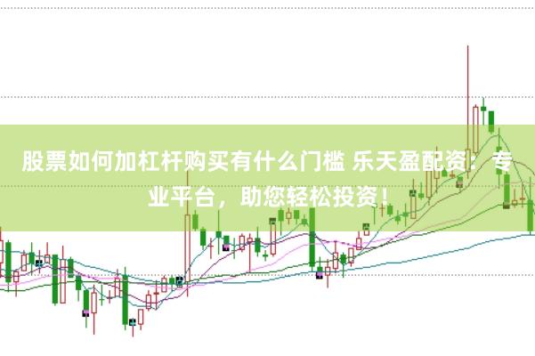 股票如何加杠杆购买有什么门槛 乐天盈配资：专业平台，助您轻松投资！