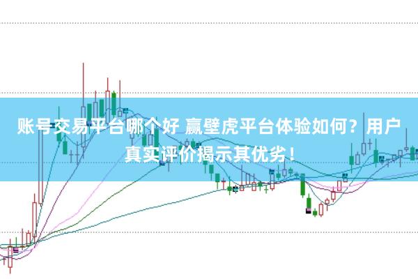 账号交易平台哪个好 赢壁虎平台体验如何？用户真实评价揭示其优劣！