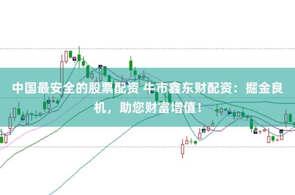 中国最安全的股票配资 牛市鑫东财配资：掘金良机，助您财富增值！