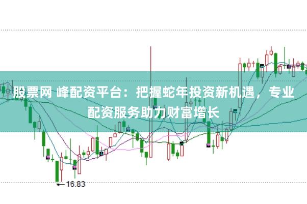 股票网 峰配资平台：把握蛇年投资新机遇，专业配资服务助力财富增长