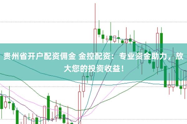 贵州省开户配资佣金 金控配资：专业资金助力，放大您的投资收益！