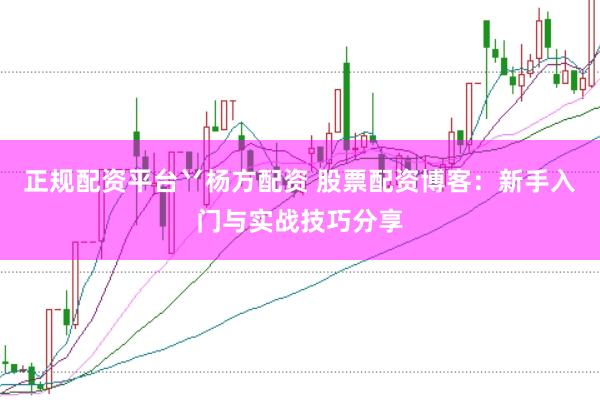 正规配资平台丷杨方配资 股票配资博客：新手入门与实战技巧分享