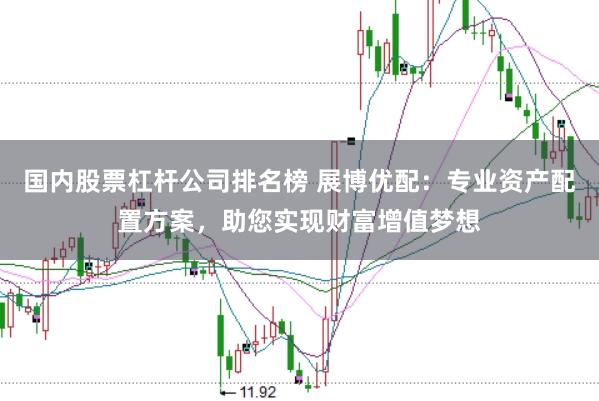 国内股票杠杆公司排名榜 展博优配：专业资产配置方案，助您实现财富增值梦想