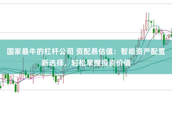 国家最牛的杠杆公司 资配易估值：智能资产配置新选择，轻松掌握投资价值