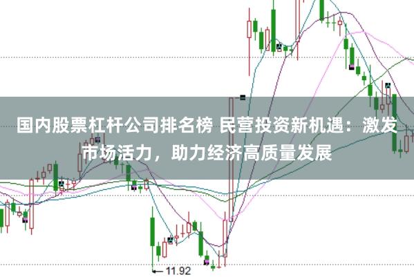国内股票杠杆公司排名榜 民营投资新机遇：激发市场活力，助力经济高质量发展