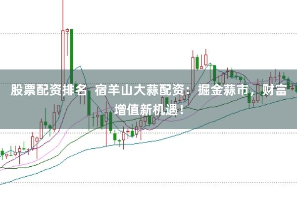 股票配资排名  宿羊山大蒜配资：掘金蒜市，财富增值新机遇！