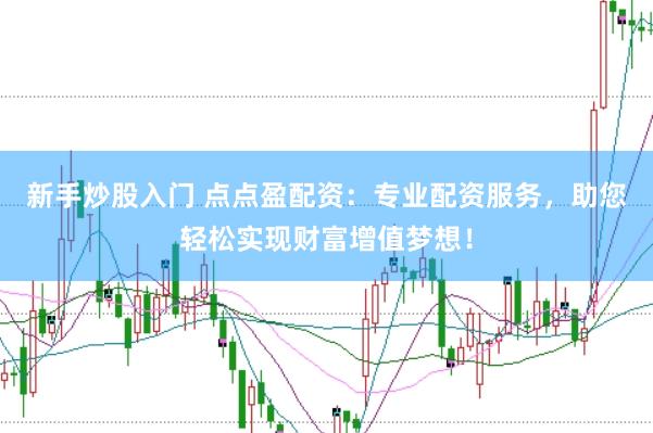 新手炒股入门 点点盈配资：专业配资服务，助您轻松实现财富增值梦想！