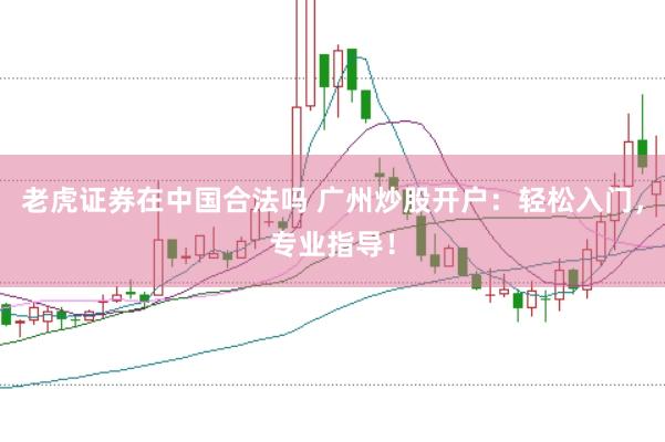 老虎证券在中国合法吗 广州炒股开户：轻松入门，专业指导！