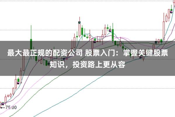最大最正规的配资公司 股票入门：掌握关键股票知识，投资路上更从容