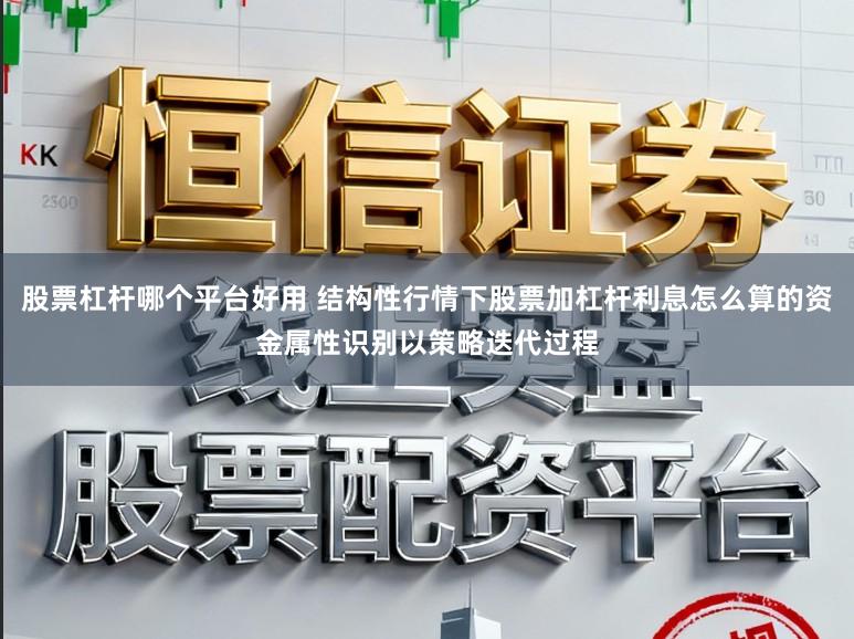 股票杠杆哪个平台好用 结构性行情下股票加杠杆利息怎么算的资金属性识别以策略迭代过程