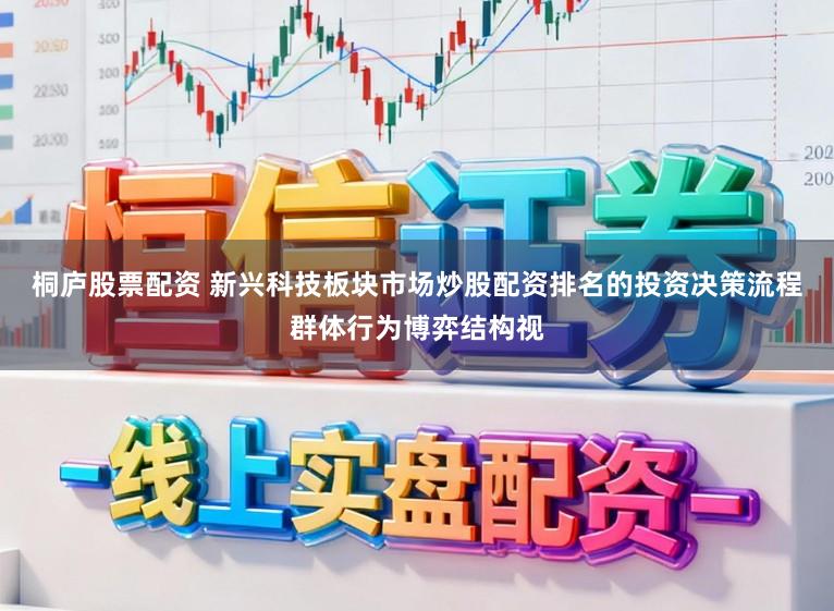 桐庐股票配资 新兴科技板块市场炒股配资排名的投资决策流程群体行为博弈结构视