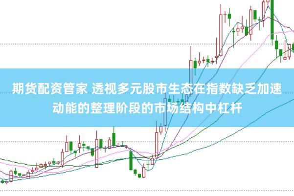 期货配资管家 透视多元股市生态在指数缺乏加速动能的整理阶段的市场结构中杠杆